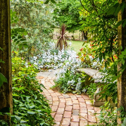 Settle into comfort at Centro NoDa a path through a forest